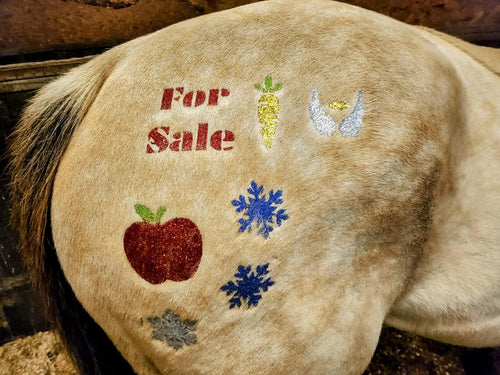 Glitter Tattoo Kit for Horses Ponies Quarter Marks Stars & Hearts